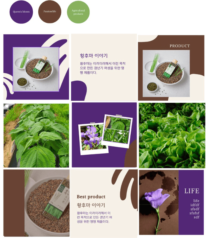 사례 2 AFTER 피드